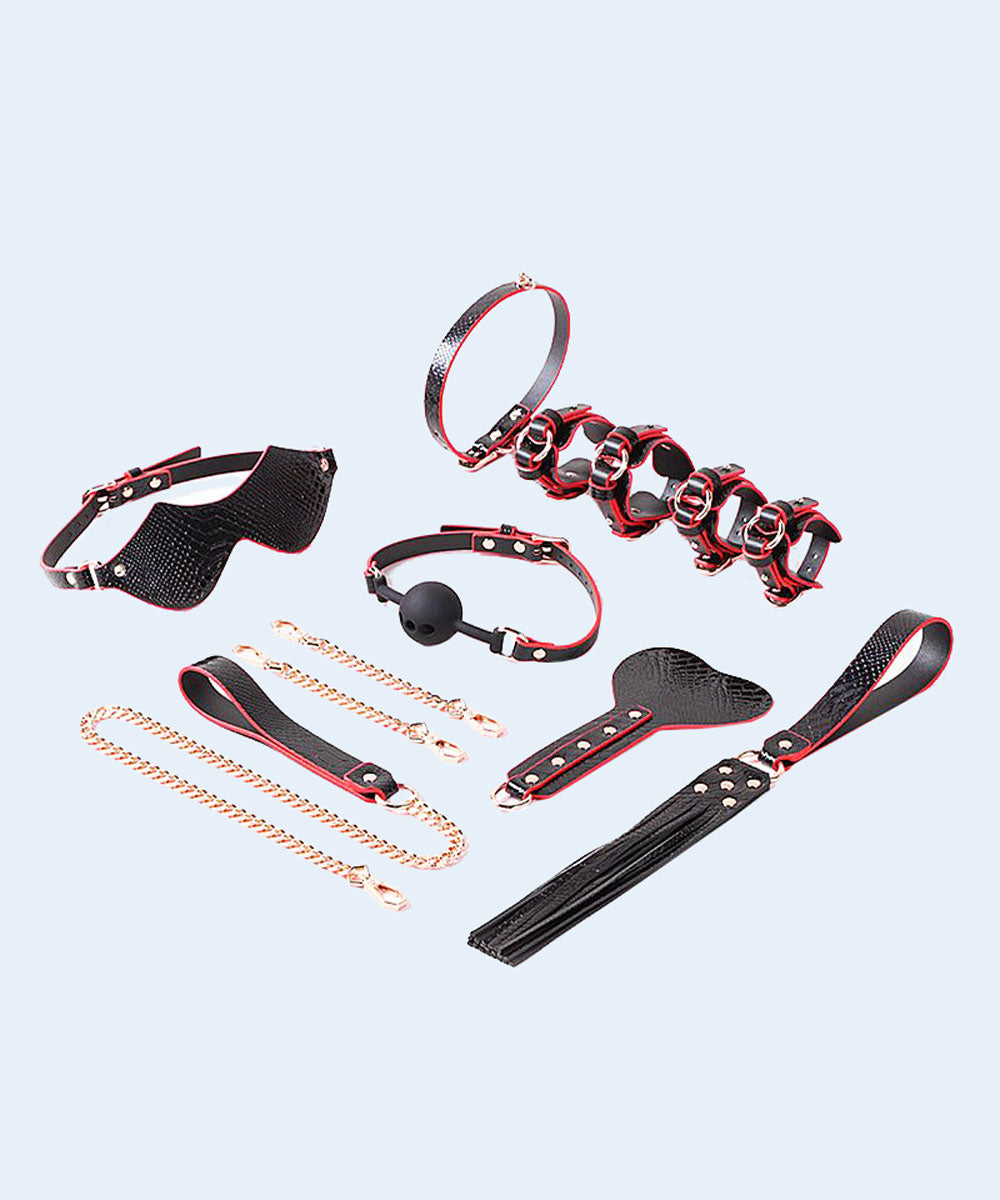 Kit Maleta Sado de Luxo - Algema, Tornozeleira com Corrente - SEXY IMPORT